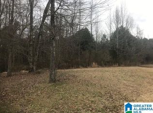 3 Cannie Phillips Rd, Sumiton, AL 35148