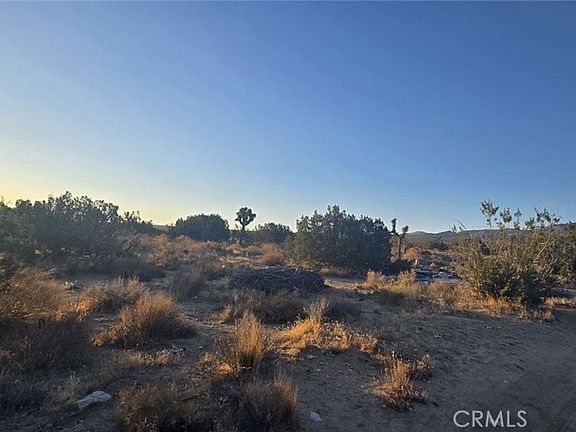 4th image of 26000 Avenue W Lot 16