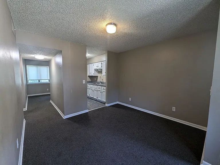 Remodeled AND Affordable Heber Springs Apartments. — Photo 3