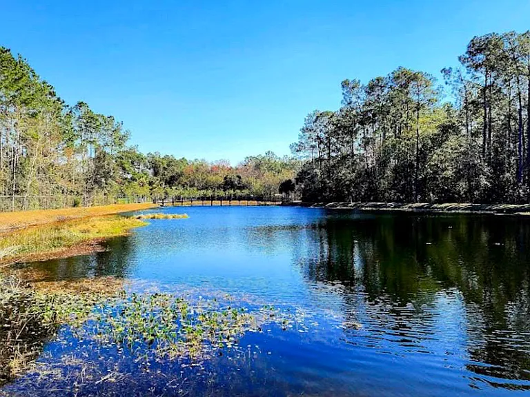 Crystal Springs Park