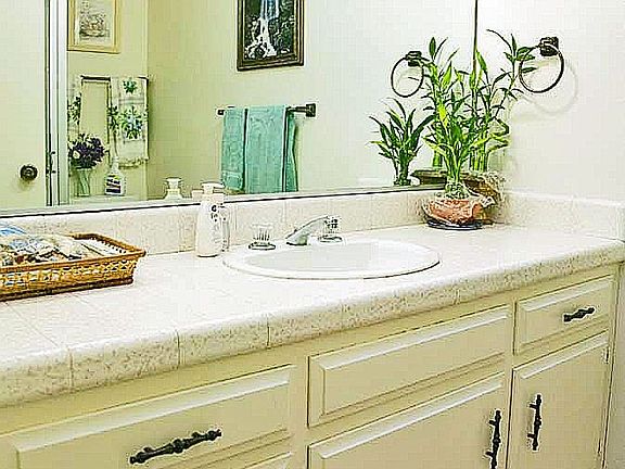 Guest bath with shower and skylight.