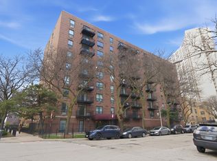 3900 N Pine Grove Ave APT 511, Chicago, IL 60613