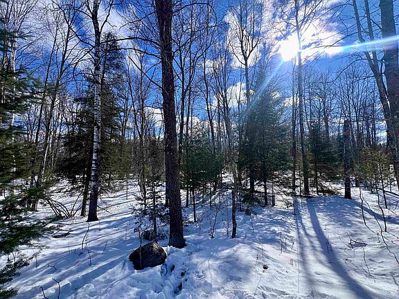 5th image of Nejedlo Rd #7