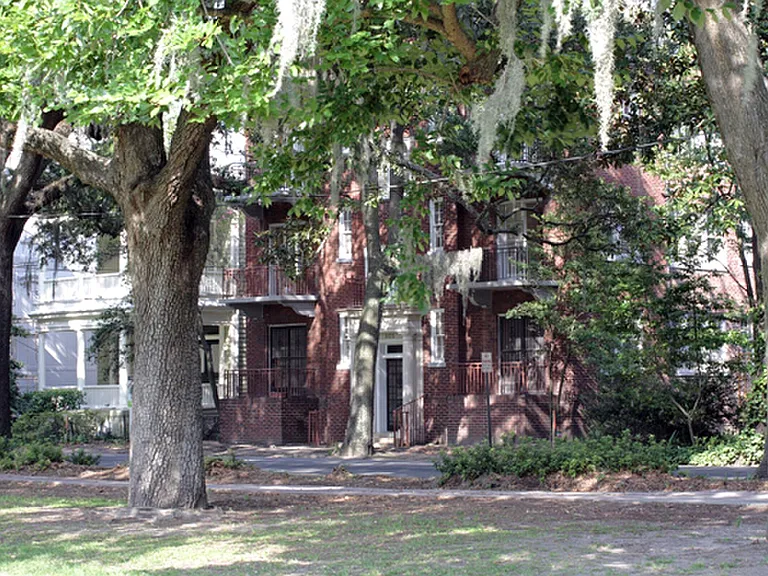 805 Whitaker St #10 — Photo 6