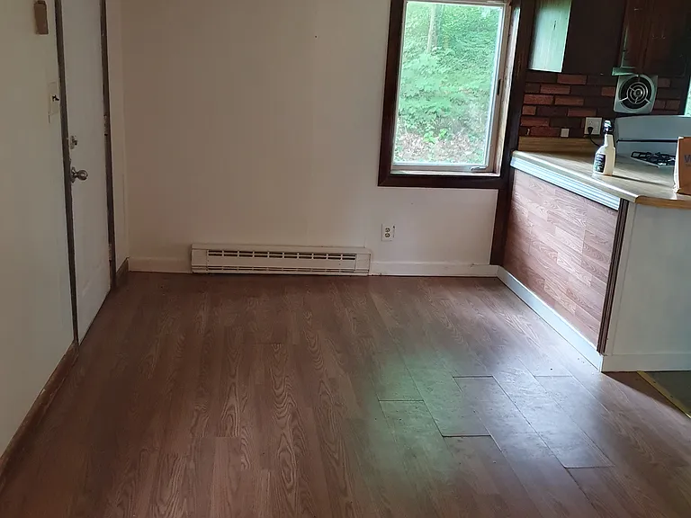 199 Forest Hills Ave — Photo 4