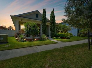 32624 Coldwater Creek Loop, Wesley Chapel, FL 33545