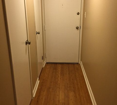 Entry Hallway (coat and storage closets)