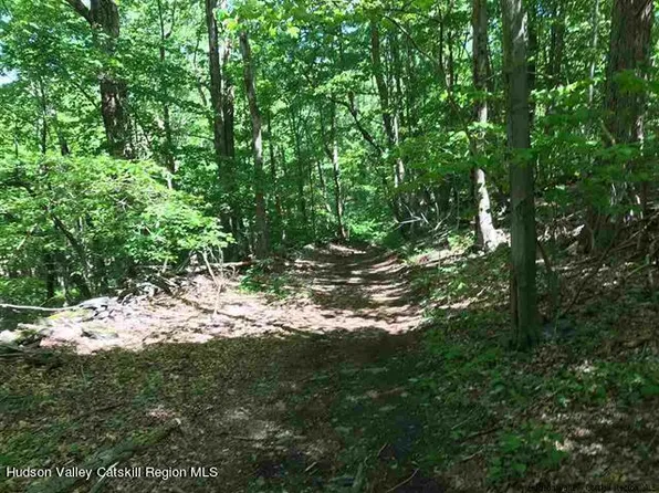 Tbd Potic Creek Road, Coxsackie, NY 12051