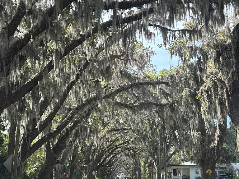 Beautiful St Augustine Location