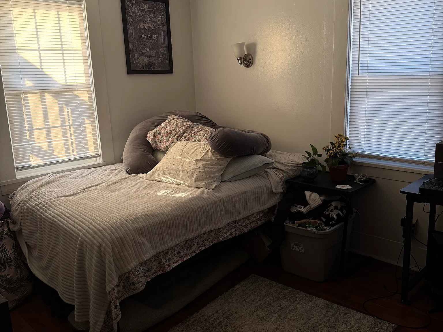 2 bed, 950 sqft, $2,200 — Photo 2
