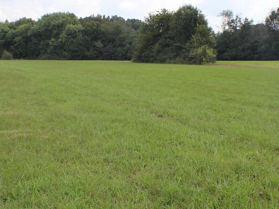 1st image of 236 County Road 388