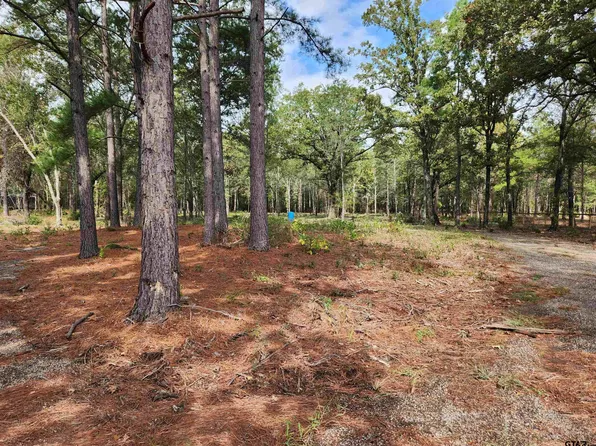 130 County Road 2198, Mineola, TX 75773
