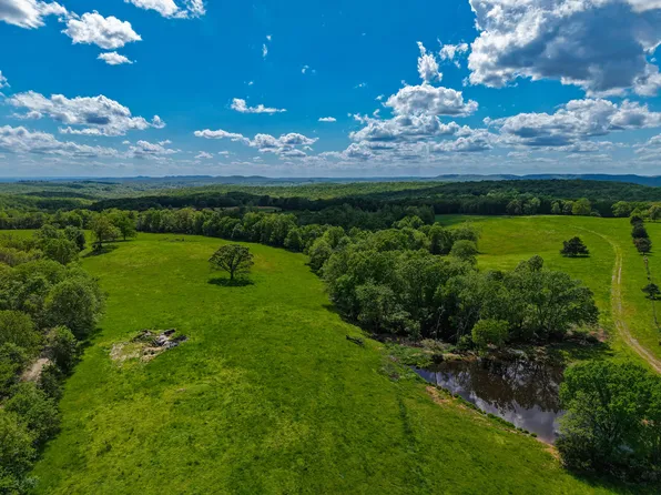 3176 St Highway Dd, Ava, MO 65608