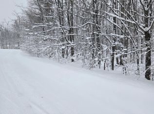 LOT 28 Mount Vernon Hills Dr, Vanderbilt, MI 49795