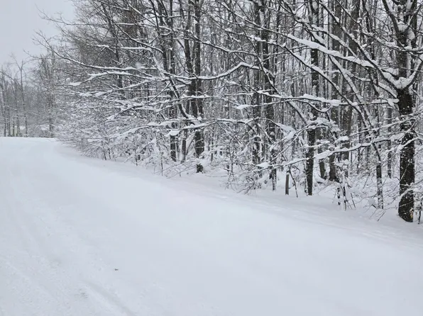 LOT 28 Mount Vernon Hills Dr, Vanderbilt, MI 49795