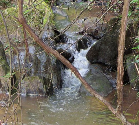 2nd image of Lots 7 And 8 Chestnut Falls