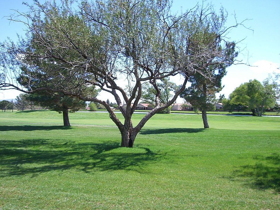 1st image of 2908 Pebble Beach Dr