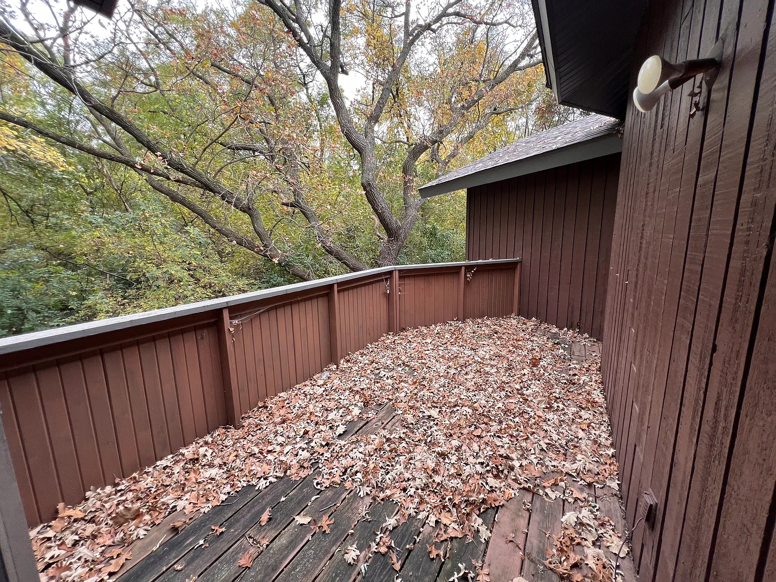 3 bed, 1800 sqft, $2,100 — Photo 3