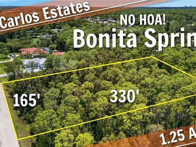 24376 Melaine LN, Bonita Springs, FL, 34135
