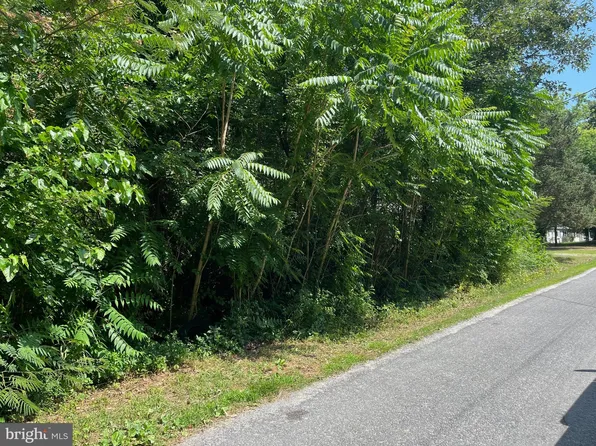 0 Forest Ave, Colonial Beach, VA 22443