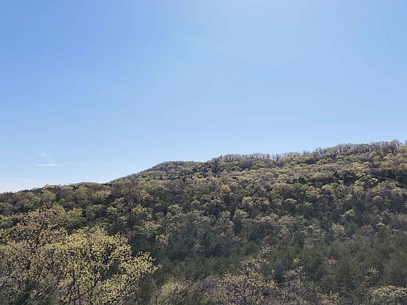 4th image of Lot #46 Gumbo Woods
