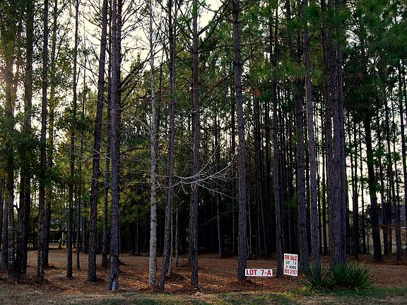 3rd image of 4205 Sierra Woods Trl