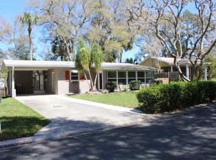 851 Wedgewood Dr, Mount Dora, FL 32757