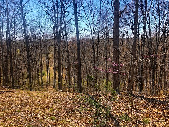 5th image of 0 County Road 42