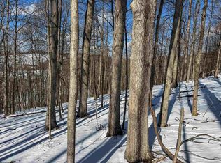 Paw Paw Ave, Rivesville, WV 26588