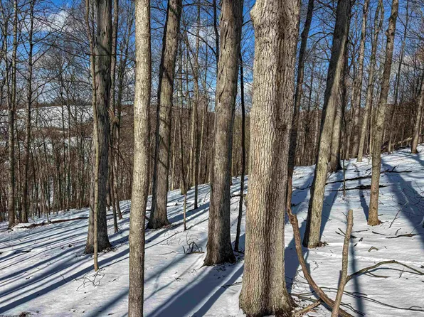 Paw Paw Ave, Rivesville, WV 26588