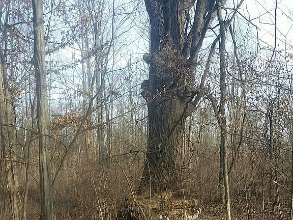 2nd image of 6402 S County Road 850 East