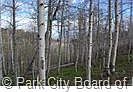 5th image of 1927 W Arapaho Dr E #Pi-36