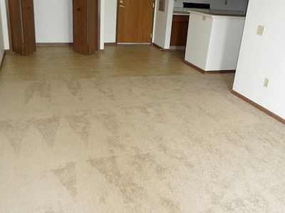 5th image of 8920 S Wood Creek Dr APT 307