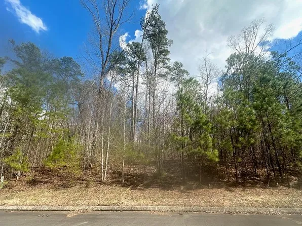 LOT 3 Chinaberry Dr, Cohutta, GA 30710