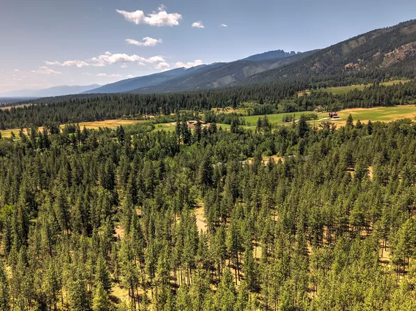 Nhn Holloway Ln, Florence, MT 59833