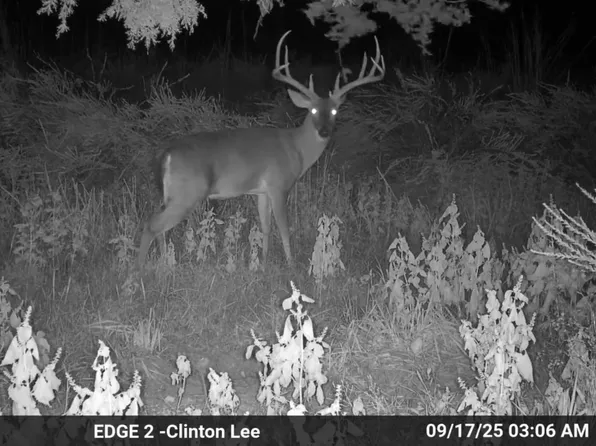 (undisclosed Address), Clinton, AR 72031