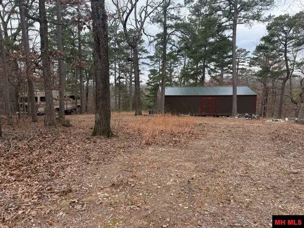 486 Mc #2084, Peel, AR 72668