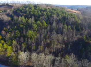 Mountain Rd, New tazewell, TN 37825