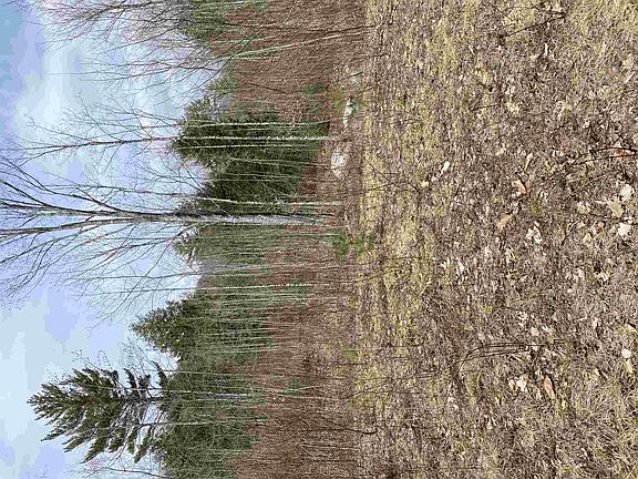 5th image of 0 Corn Hill Road