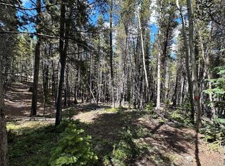 0 S Spring Gulch Rd, Idaho Springs, CO 80452