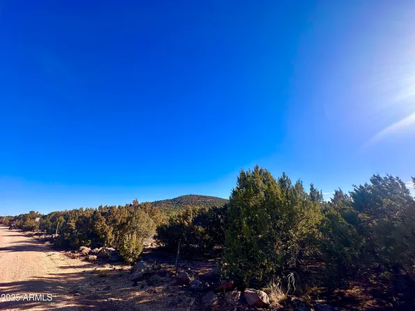 TBD County Rd 3323 -- #-, Vernon, AZ 85940