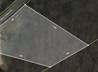 Black Hollow Rd, Rockwood, TN 37854