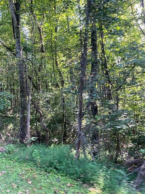 2nd image of Mabe Hill Rd