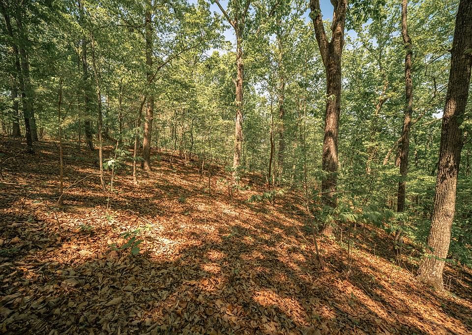 1st image of 0 Hancock Mountain Trl