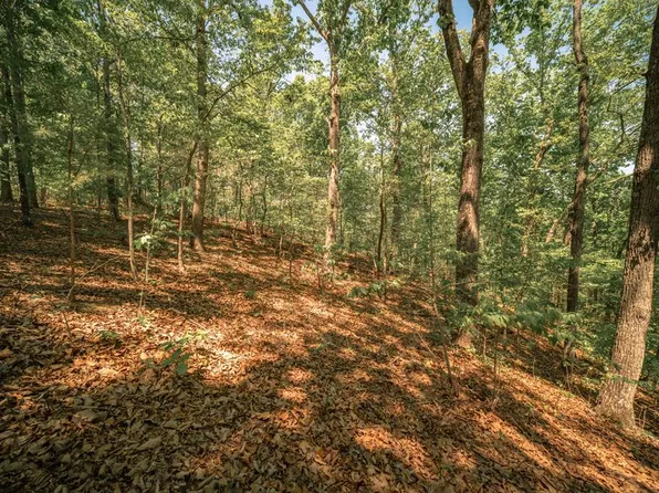 0 Hancock Mountain Trl, Waleska, GA 30183