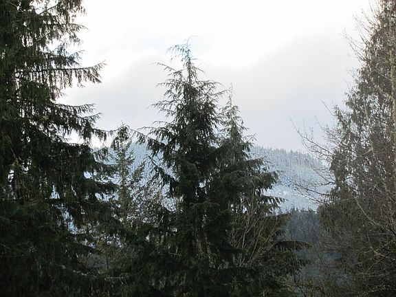 5th image of 10211 Old Mount Baker Hwy