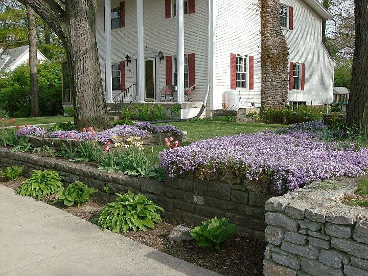 Our house in the Spring