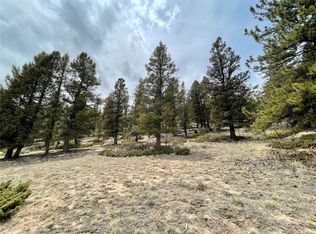 1456 Redhill Rd, Fairplay, CO 80440