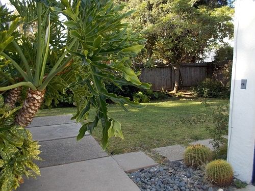 2nd image of 407 S Citrus Ave