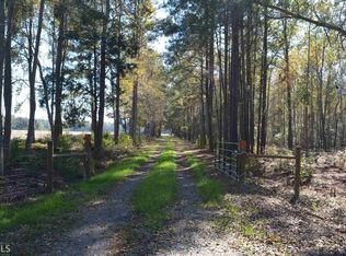 0 Warnell Farm Rd, Pembroke, GA 31308